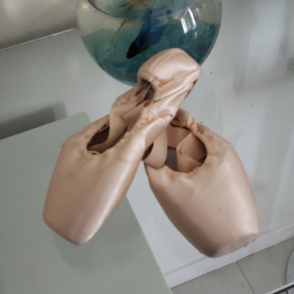Pointe shoes